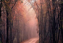 多特蒙德遭逢不利，挑战在眼前