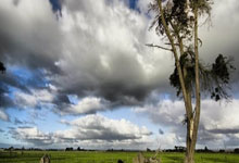 福建队击败江苏队，积分排名上升