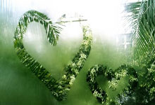 福建队击败江苏队，积分排名上升