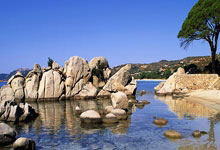 武汉三镇客场取胜，追平积分同队